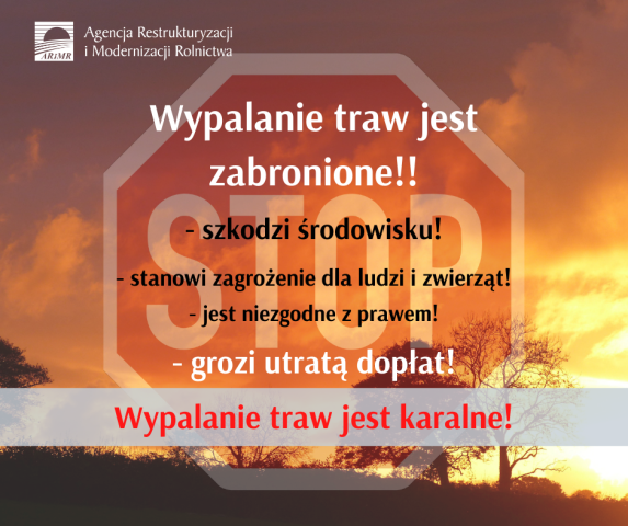 Wypalanie traw jest karalne